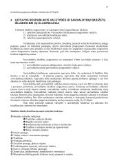 Lietuvos valstybės biudžetas 13 puslapis