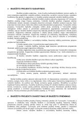 Lietuvos valstybės biudžetas 4 puslapis