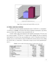 Lietuvos valstybės skola ir jos kaita 11 puslapis