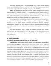 Lietuvos valstybės skola ir jos kaita 5 puslapis