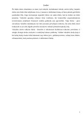 Lietuvos valstybės užsienio skolos 2 puslapis