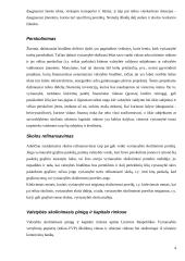 Lietuvos valstybės užsienio skolos 4 puslapis