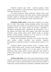 Lietuvos vandenų bentosas 11 puslapis