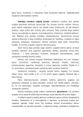 Lietuvos vandenų bentosas 13 puslapis