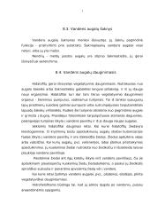 Lietuvos vandenų bentosas 17 puslapis