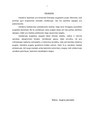 Lietuvos vandenų bentosas 18 puslapis