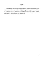 Lietuvos verslo įmonių valdymo problemos 3 puslapis