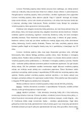 Lietuvos vertybinių popierių rinkos kūrimosi ir plėtros istorija 10 puslapis