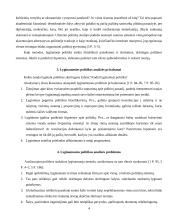 Lyginamosios politikos sąvoka 4 puslapis