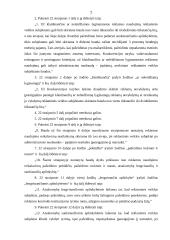 Lyginamoji reklama 7 puslapis