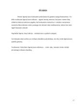 Ligonių kasos 17 puslapis