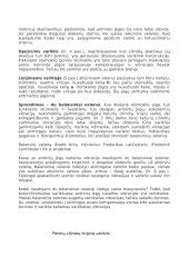 Linijiniai varikliai 4 puslapis