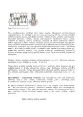 Linijiniai varikliai 5 puslapis