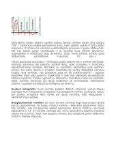 Linijiniai varikliai 7 puslapis