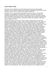 Lyties raiška 2 puslapis