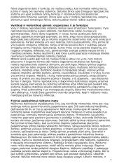 Lyties raiška 4 puslapis