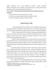 Lytis kaip socialinis konstruktas 2 puslapis