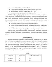 Lizingas kaip finansavimo šaltinis 11 puslapis