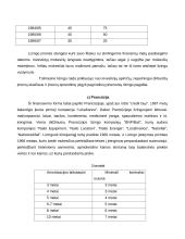 Lizingas kaip finansavimo šaltinis 12 puslapis