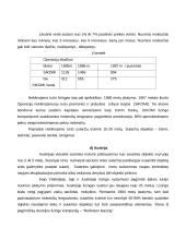 Lizingas kaip finansavimo šaltinis 13 puslapis