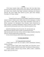 Lizingas kaip finansavimo šaltinis 14 puslapis