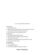 Lizingas kaip finansavimo šaltinis 17 puslapis