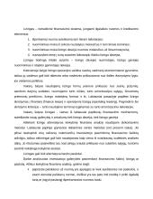 Lizingas kaip finansavimo šaltinis 18 puslapis