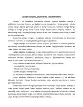 Lizingas kaip finansavimo šaltinis 3 puslapis