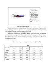 Lizingas kaip finansavimo šaltinis 8 puslapis