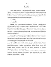 Lizingas, faktoringas ir forfeitingas 2 puslapis