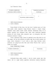 Lizingas, faktoringas ir forfeitingas 11 puslapis