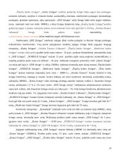 Lizingo bendrovės teikiamos paslaugos ir analizė:  AB "SEB VB lizingas" 14 puslapis