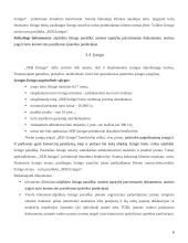 Lizingo bendrovės teikiamos paslaugos ir analizė:  AB "SEB VB lizingas" 8 puslapis