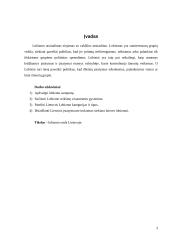 Lobizmo samprata, esmė bei pradžia ir raida Lietuvoje 3 puslapis