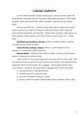 Lobizmo samprata, esmė bei pradžia ir raida Lietuvoje 4 puslapis