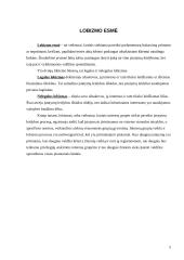 Lobizmo samprata, esmė bei pradžia ir raida Lietuvoje 5 puslapis