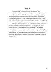 Lobizmo samprata, esmė bei pradžia ir raida Lietuvoje 10 puslapis