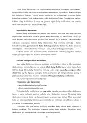 Logistikos disciplina 11 puslapis