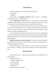 Logistikos disciplina 12 puslapis