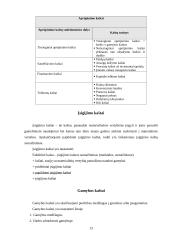 Logistikos disciplina 13 puslapis