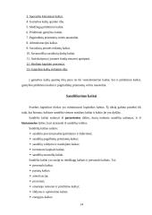 Logistikos disciplina 14 puslapis