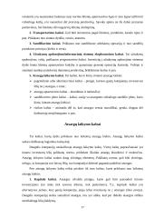 Logistikos disciplina 17 puslapis