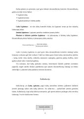 Logistikos disciplina 4 puslapis