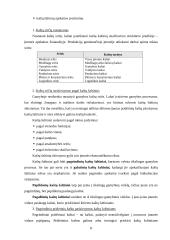 Logistikos disciplina 8 puslapis