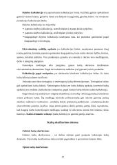 Logistikos disciplina 10 puslapis
