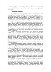 Logistikos istorija ir šiandiena 5 puslapis