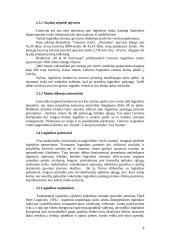 Logistikos istorija ir šiandiena 7 puslapis