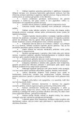 Logistikos istorija ir šiandiena 10 puslapis