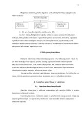 Logistikos charakteristikos įmonėje 12 puslapis
