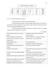 Logistikos charakteristikos įmonėje 13 puslapis